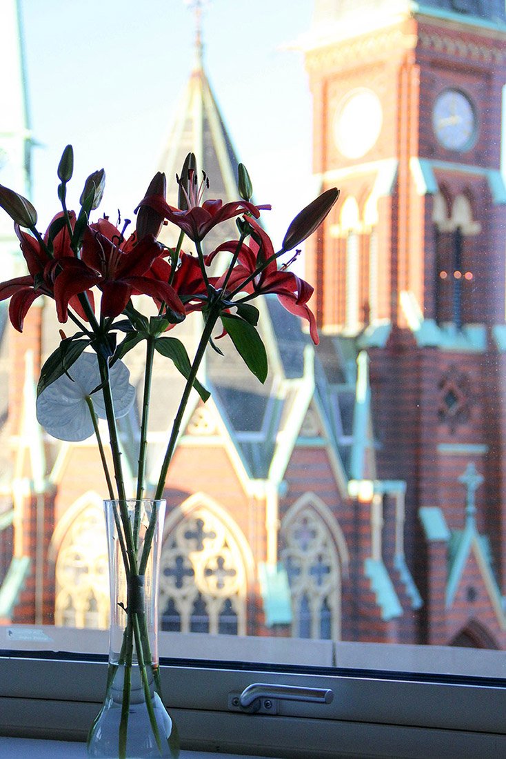 Blommor och Oscar Fredriks kyrka tagen från Tandvårdsgruppen